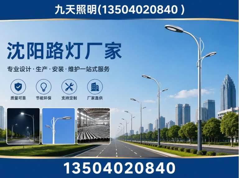 浑南区沈阳路灯厂家展示图